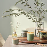 Hinoki Sage