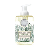Foaming Hand Soap | 530ml