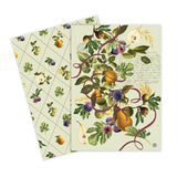 Michel Design Kitchen Towels
