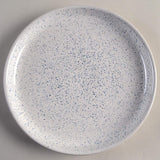 Studio Blue Coupe Dinner Plates