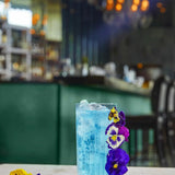 Timeless HB Tumbler x6