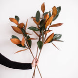 Magnolia Faux Leaves