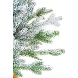 Norway Spruce Table Top Tree