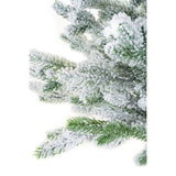 Norway Spruce Table Top Tree