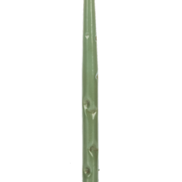 Green Accent Taper Holder