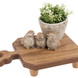 Decorative Flower Handle Edge Tray