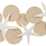 Starfish and Sand Dollar Wall Decor