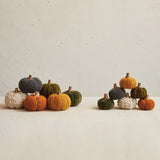 Velvet Pumpkin