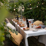 Tiziano Table linen Napkin