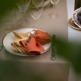 Tiziano Table linen Napkin