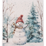 Snowman Reusable Dish Cloth