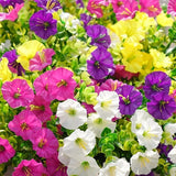 Faux Uv-Protected Flower Stems