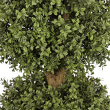 Boxwood Triple Ball Topiary