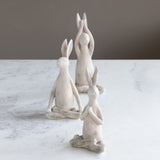 Yoga Rabbit