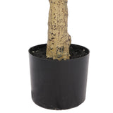 Boxwood Triple Ball Topiary