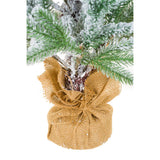 Norway Spruce Table Top Tree