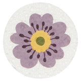 Compostable Sponge