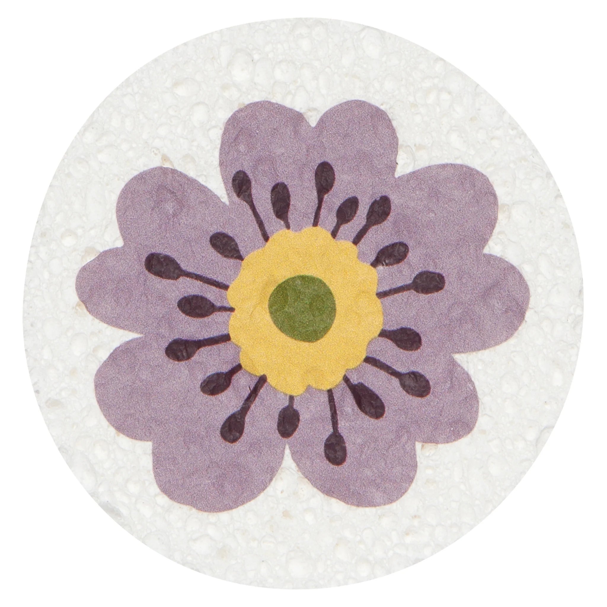 Compostable Sponge