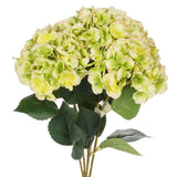 Hydrangea Bouquet