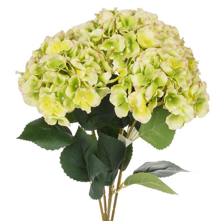 Hydrangea Bouquet