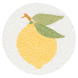 Compostable Sponge