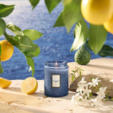 Small Jar Candle | Mediterranean Lemon