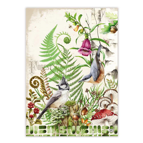 Michel Design Kitchen Towels