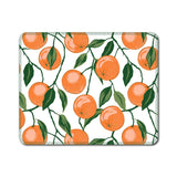 Reusable Paper Towel 10/PK
