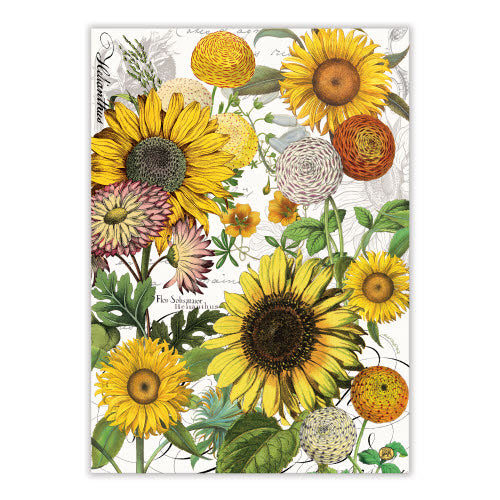 Michel Design Kitchen Towels