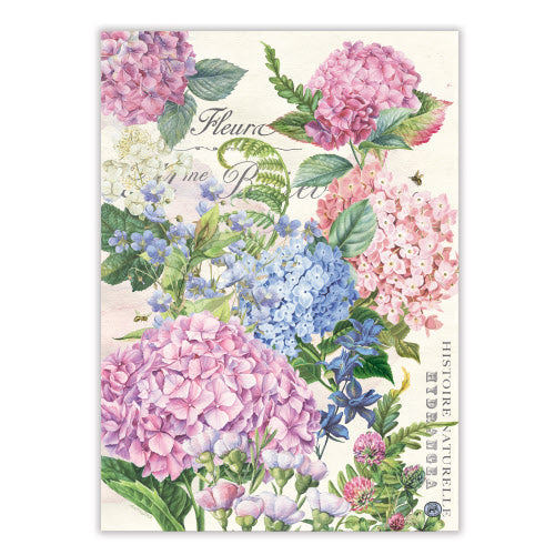 Michel Design Kitchen Towels