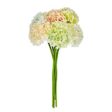 Large Hydrangea Stem