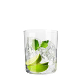 Mixology Glass Tumbler Set