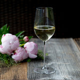 Veritas Riesling/Zinfandel 2-Piece Set