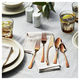 Twin Bellasera 20-Piece Flatware Set