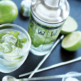 Glass Cocktail Shaker