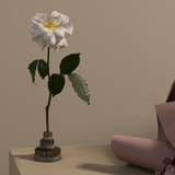 Diffuser | Ortus (Rise)