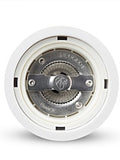 Paris Salt Mill | White Gloss Finish Wood