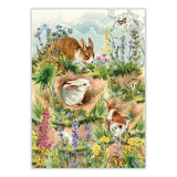 Michel Design Kitchen Towels