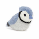BIRDLING BLUE JAY